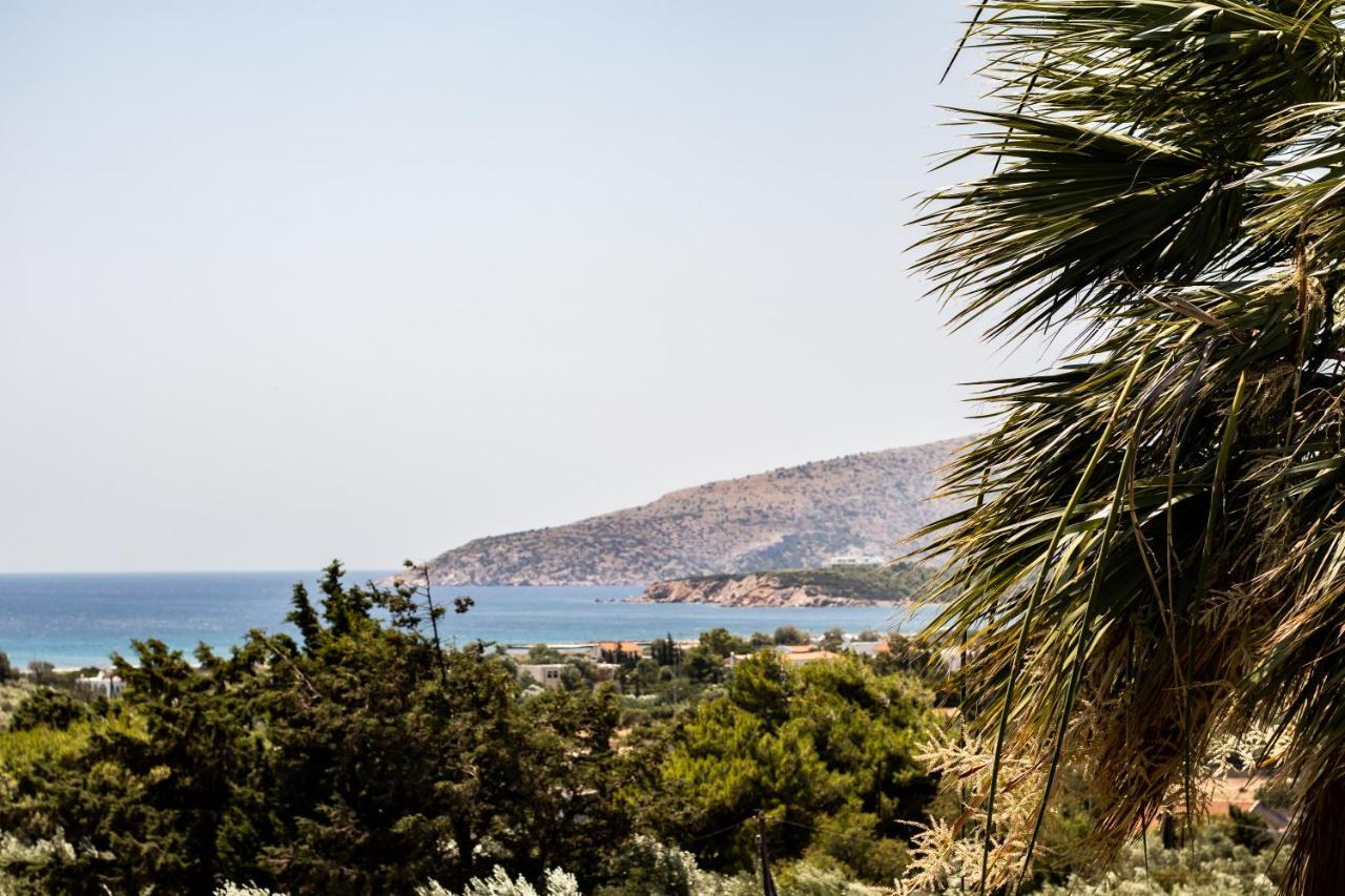 Villa Sounio Sounion Exterior foto
